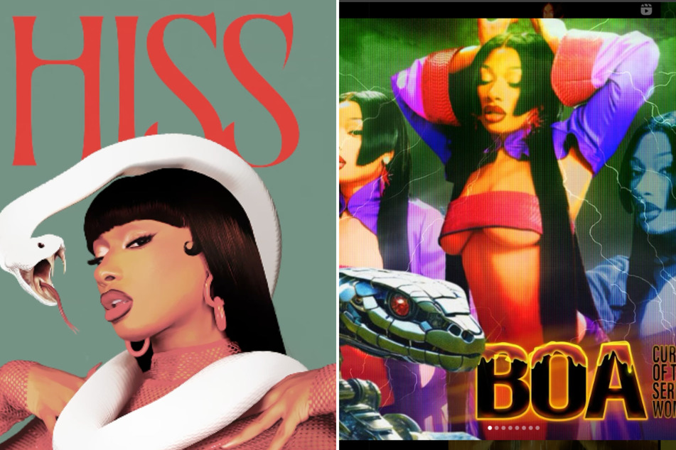 Megan Thee Stallion has switched her visual theme from snakes to butterflies in her album announcement.