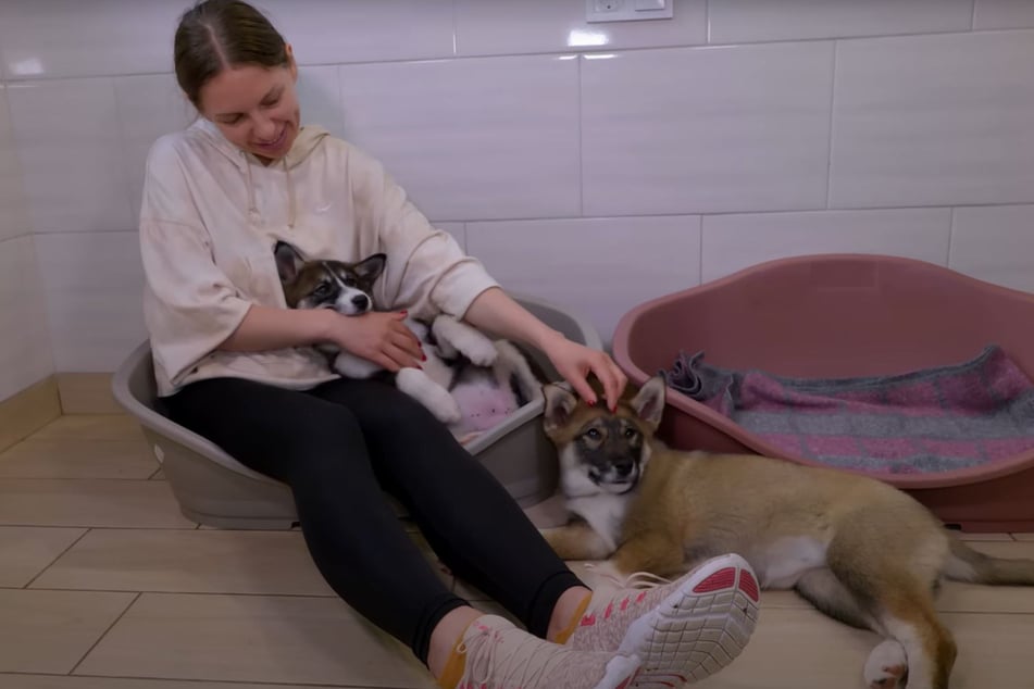 Olena cuddles with the two rescued puppies.