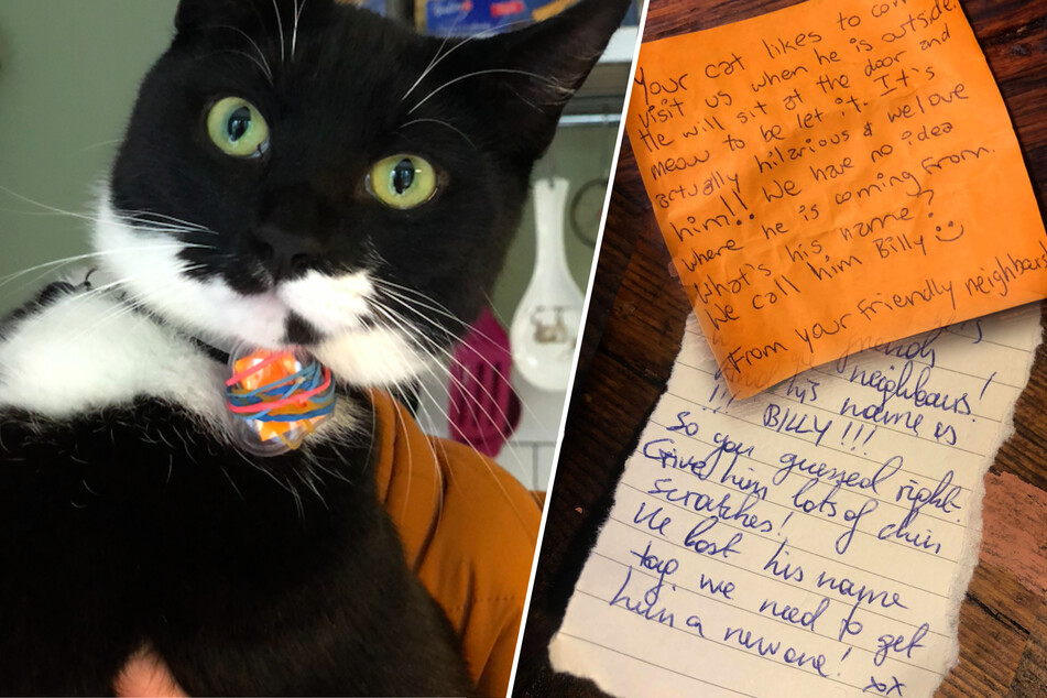 Please Mr. Post-cat: this feline turns neighbors into pen pals