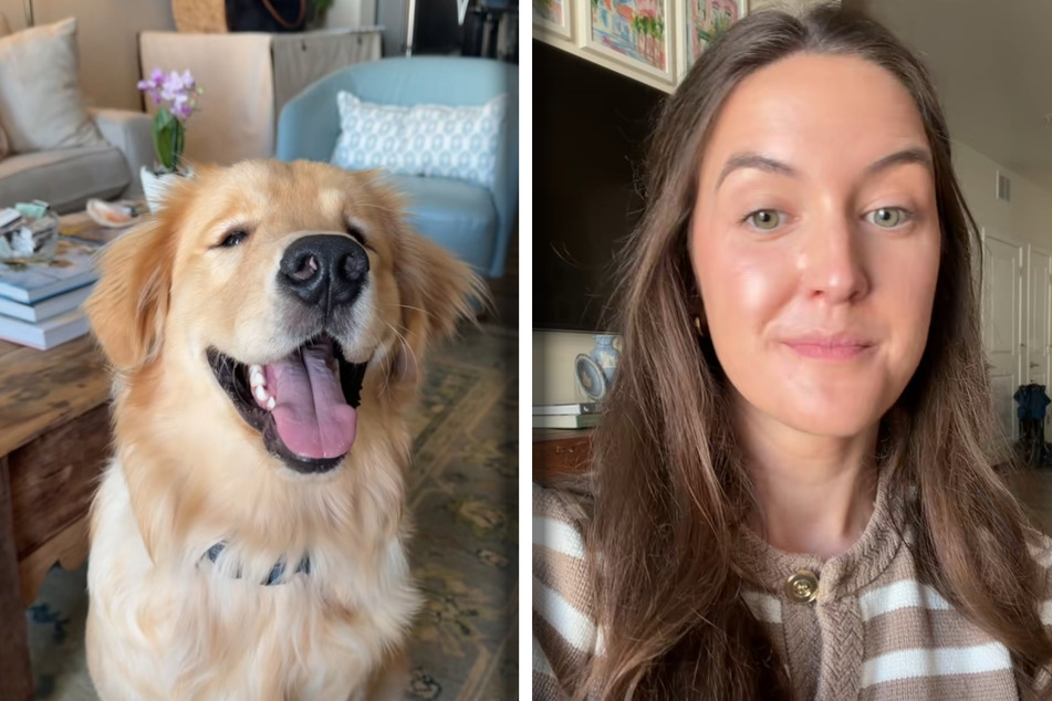 Mac and his owner Madelyn Wiggins (25) are a well-rehearsed team.