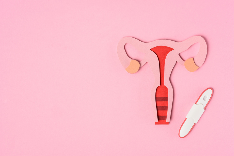 Supreme Court grants White House request to restrict access to abortion medication