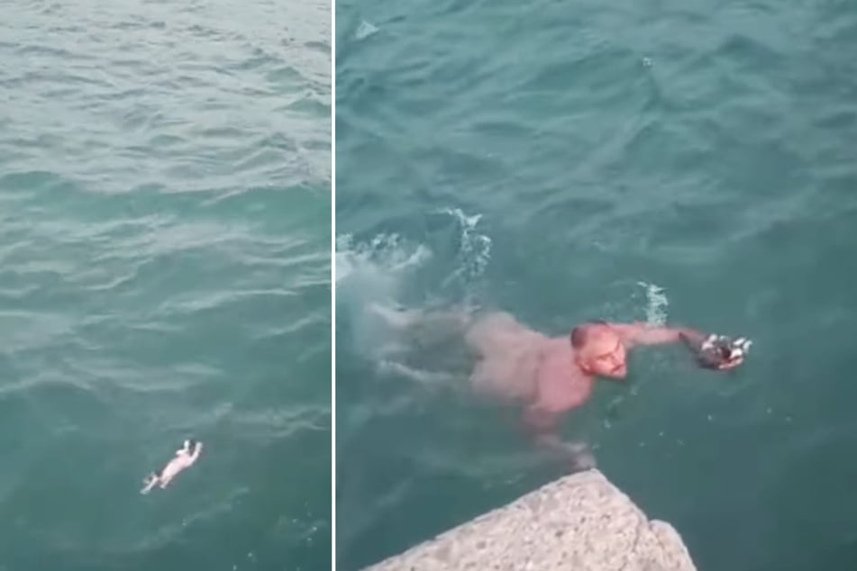 Aykut Balli rescued a tiny kitten from the water after he and his wife spotted the animal struggling.