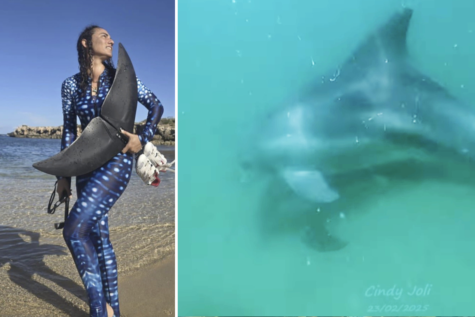 Cindy Joli recently swam with a pod of dolphins. The marine biologist noticed something shocking when reviewing the footage from her adventure, however.