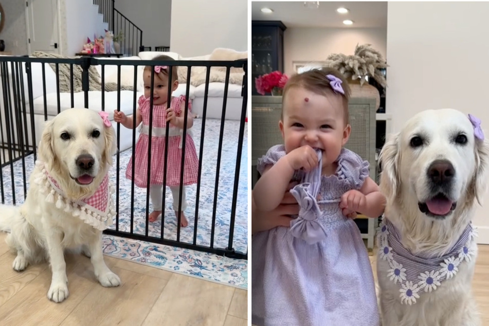 A California mom delighted TikTok by testing the smarts of her baby and dog.