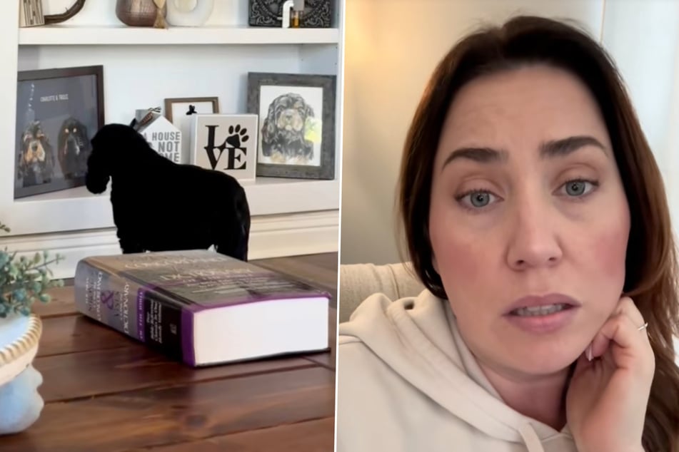 Kara Ferguson is not the only one mourning the loss of her beloved dog, Trulee.