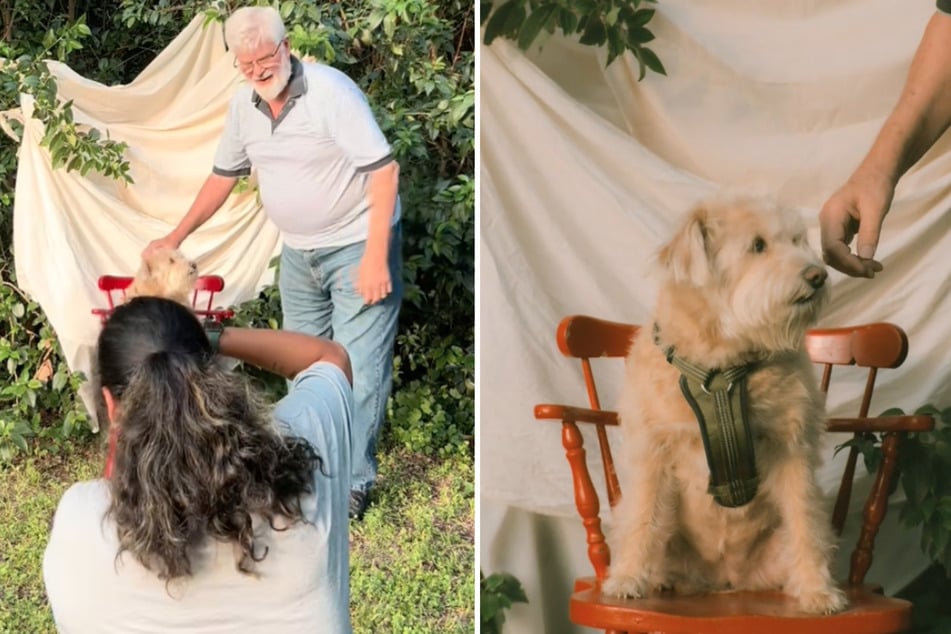 An amateur photographer invited her neighbors to a free photo shoot in her garden, but Victor preferred to place his beloved dog in front of the camera instead.