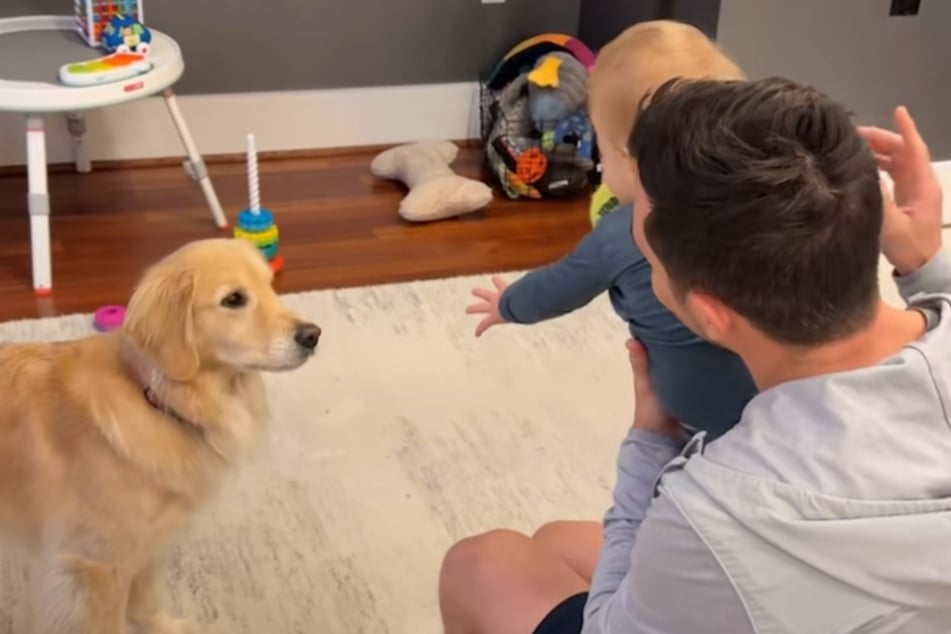 Emma the golden retriever was eager to play with the tiny human.