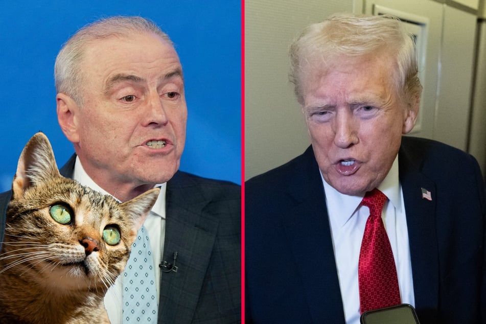 Trump shades Curtis Sliwa over love of cats in bizarre comment: "This isn't exactly ideal"