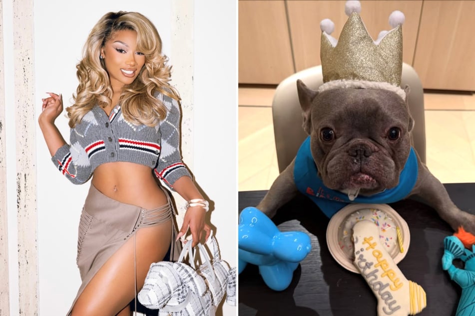Megan Thee Stallion celebrates her doggy "son's" birthday with epic style