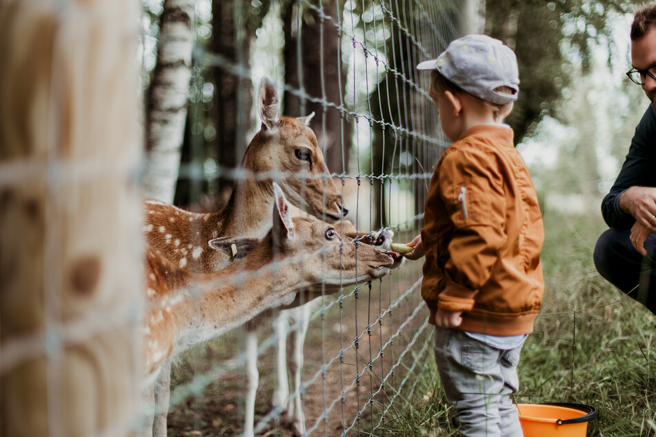 Stay up to date on zoo-related news from right across the globe.