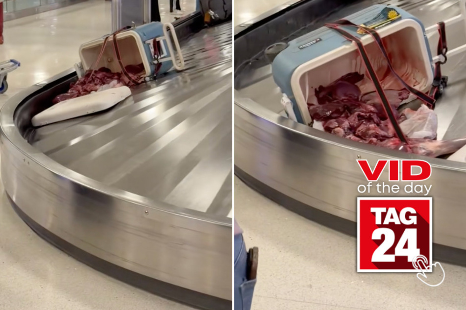 Viral Video of the Day for January 4, 2026: Passengers shocked as cooler spills raw meat on baggage carousel!