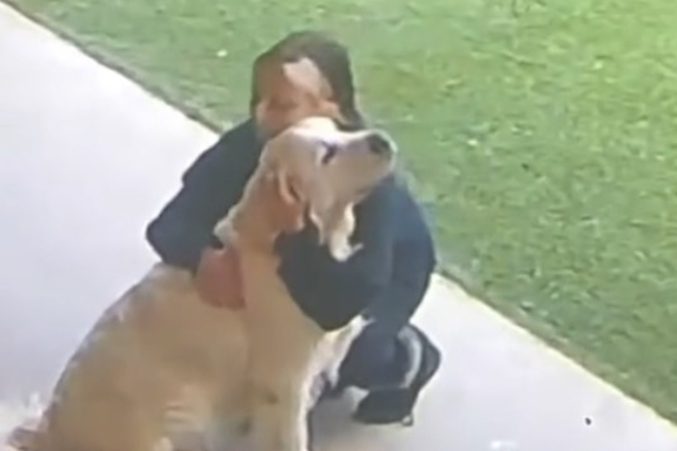 Lincoln gets consoled by a doggy daycare worker as he waited to get picked up.