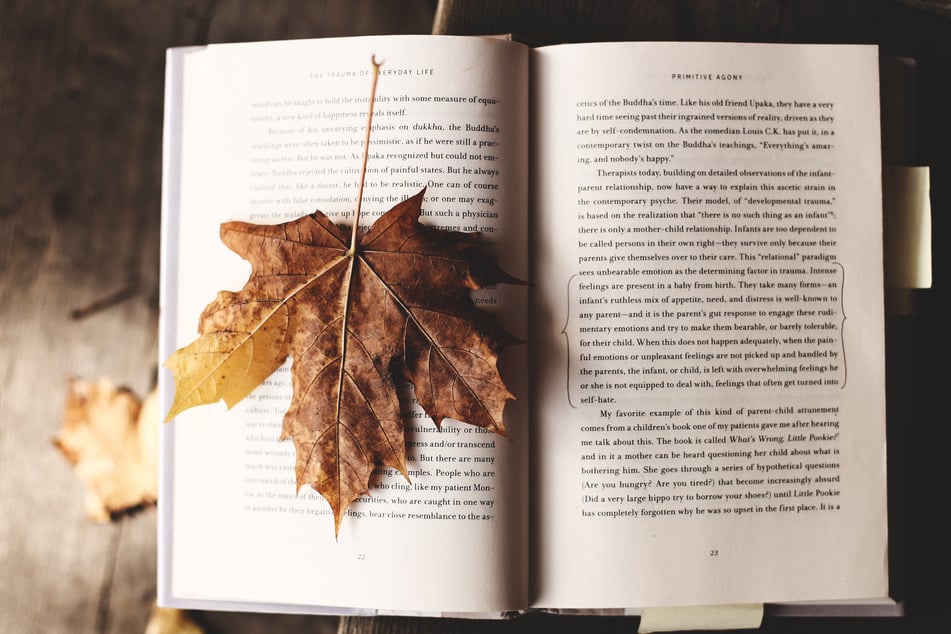Book release radar: Most anticipated reads of November 2023