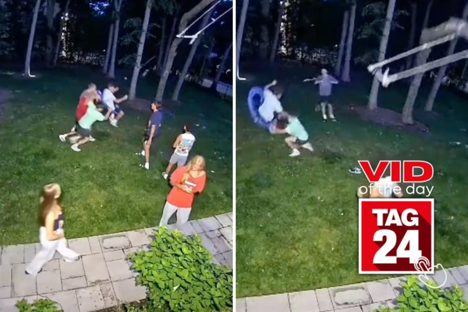 Viral Video of the Day for July 6, 2026: Swing stunt goes hilariously wrong as tree branch crashes down!