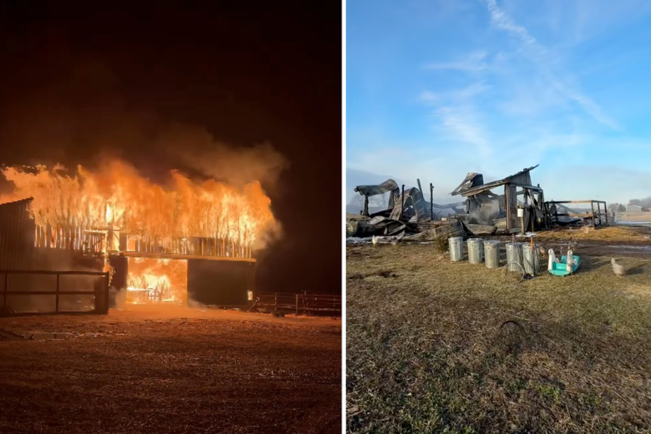 At Laurel Ysebaert’s farm, a fire broke out suddenly in early March.
