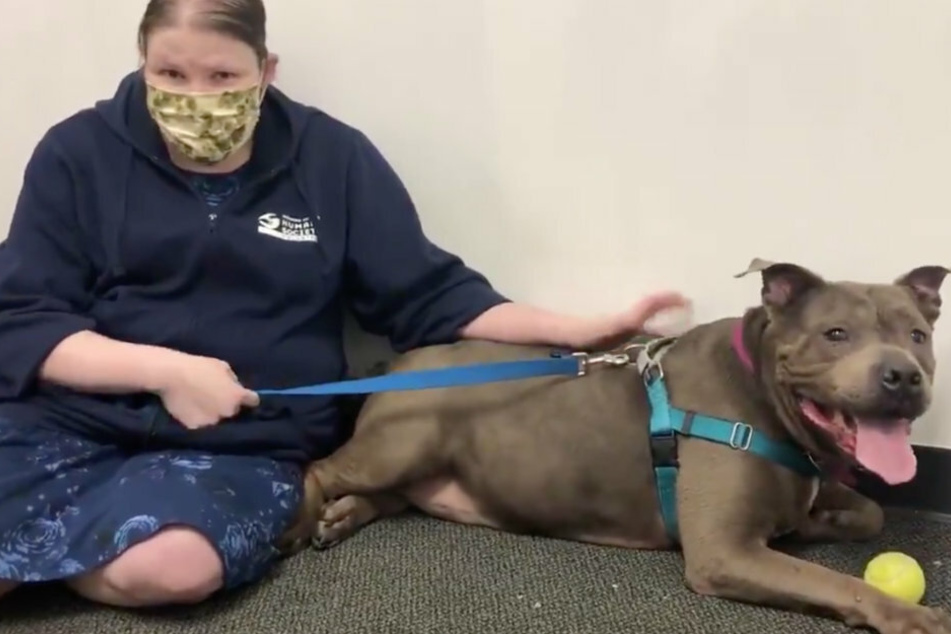 A woman drove 400 miles to adopt a dog!