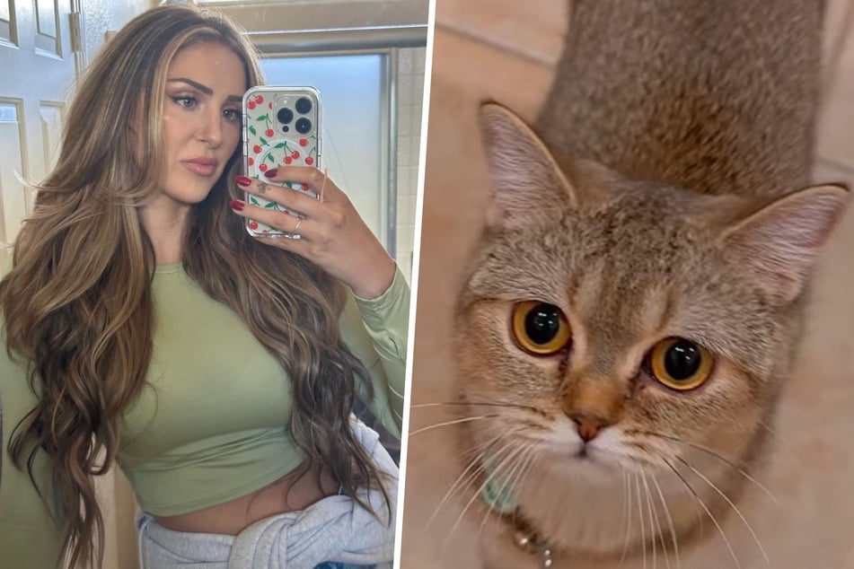 Cat has to be fed in secret for the funniest reason!