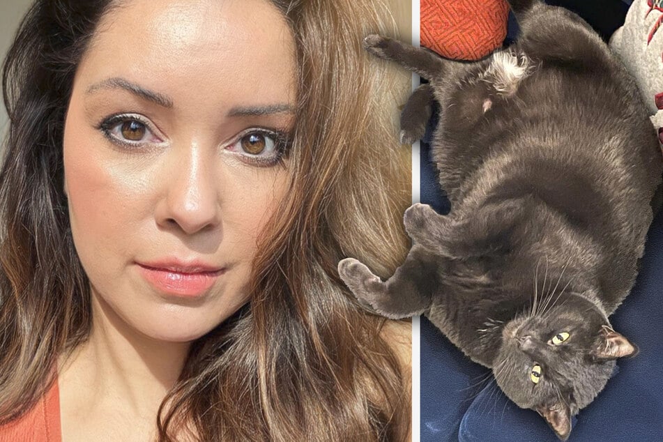 Chunky kitty keeps gaining weight until owner discovers hilarious secret