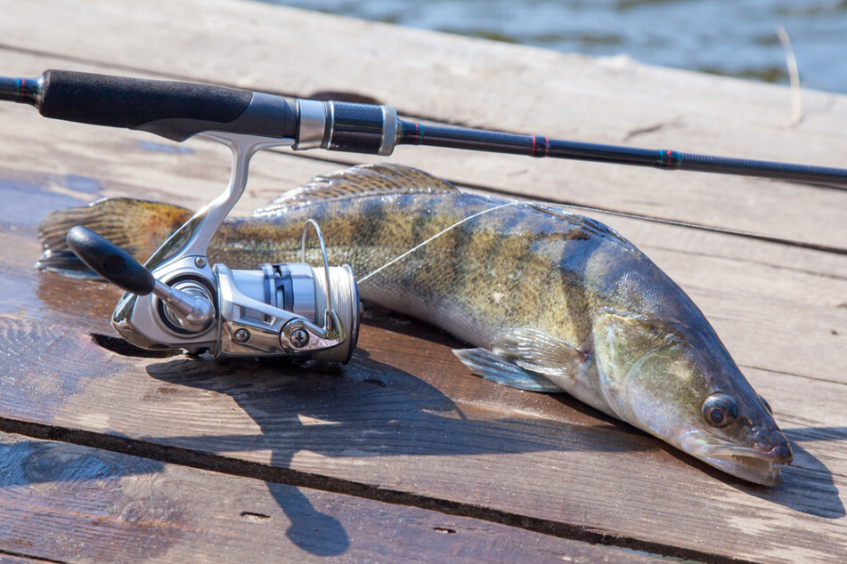 Man hospitalized after accidentally swallowing a live fish!