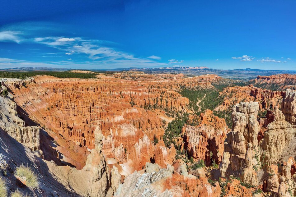 Cat miraculously survives fall in Utah canyon that tragically kills couple