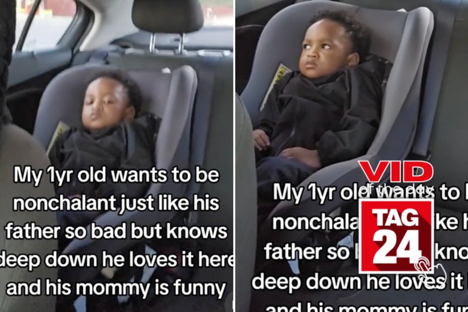 Viral Video of the Day for December 20, 2024: Toddler's serious face hilariously melts as mom sings in viral TikTok!