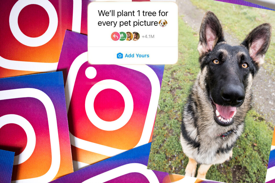 Tree-mendous Trend: "One tree for every pet picture" misleads millions