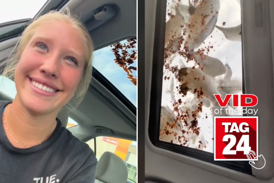 Viral Video of the Day for April 29, 2024: TikTokers attract "army of seagulls" with viral trick
