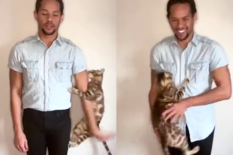 Aspiring actor tries to record audition tape, but his cat steals the show!