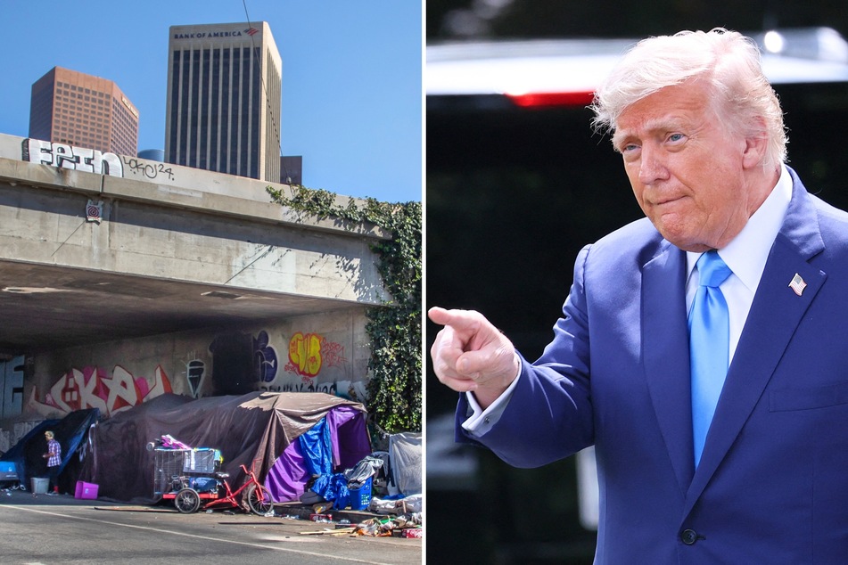 On Thursday, President Donald Trump signed an executive order seeking to remove homeless people from the streets and put them in rehab facilities.
