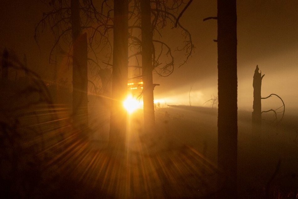Pika Fire in Yosemite National Park balloons – with no containment