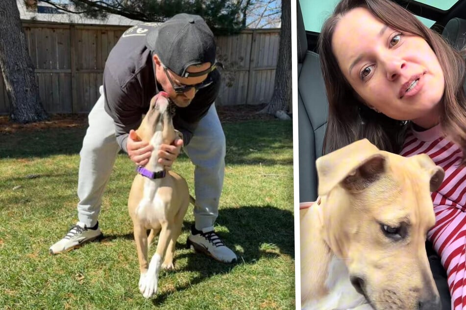 The Lehman family fell for a foster pup named Sunny. She was a perfect fit.