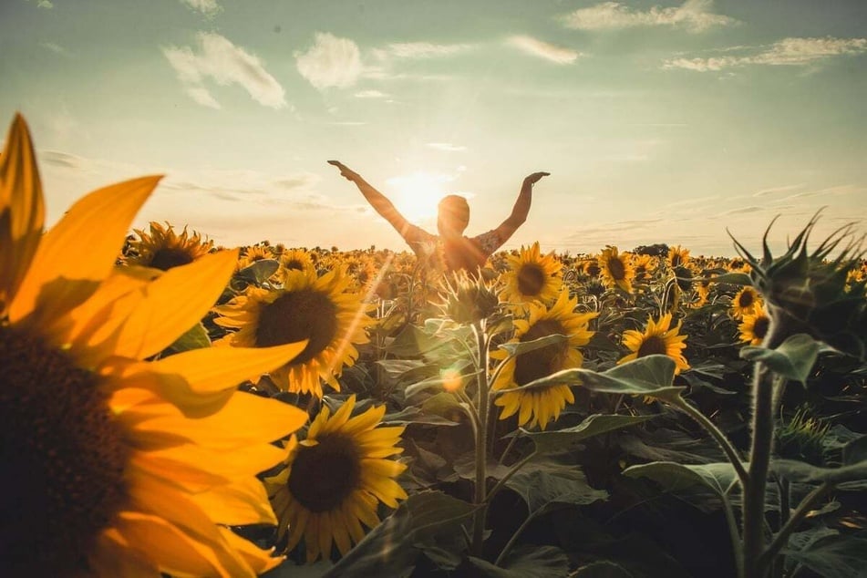 Today's horoscope: Free daily horoscope for Wednesday, July 2, 2025