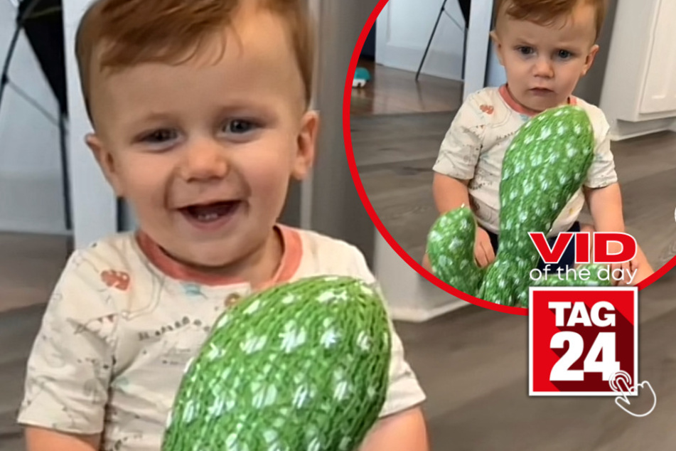 Viral Video of the Day for August 15, 2023: Toddler reacts hilariously to toy cactus
