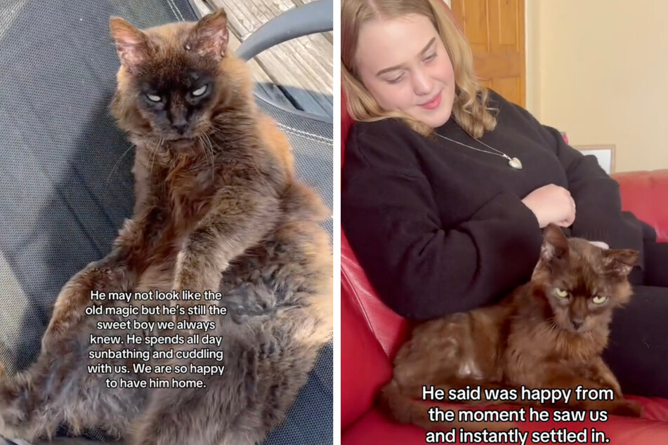 A few months ago, Magic was in very poor condition, but today he is in excellent health.