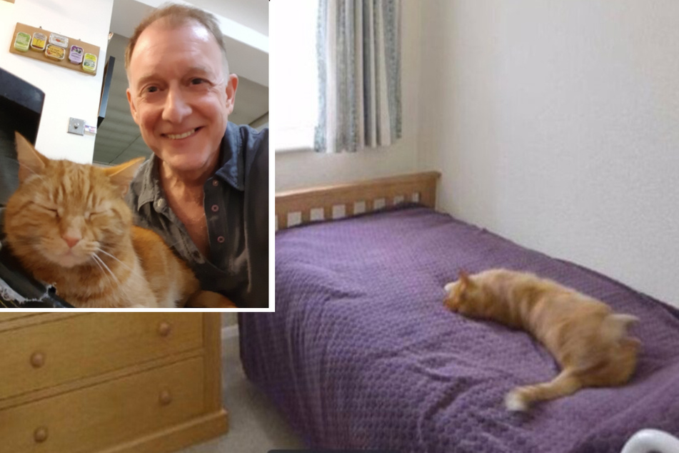 Curious neighbor checks out a house for sale and makes a familiar feline discovery