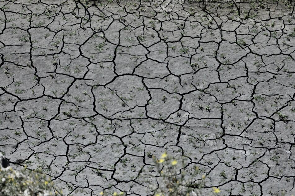 The San Gabriel Reservoir in LA County is dried and cracked as California faces a severe drought this year.