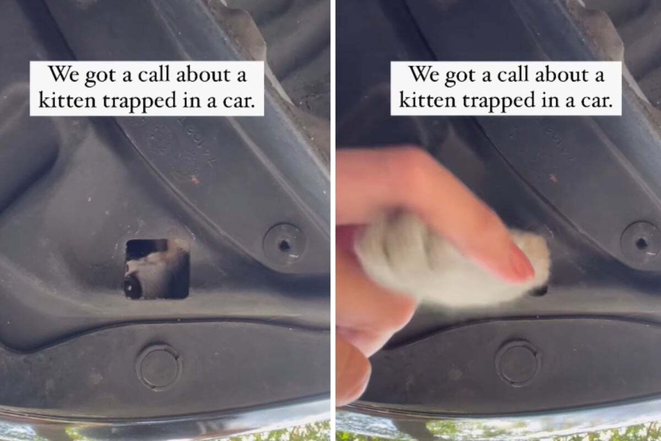 Cat rescued from unlikeliest place after driver hears meowing coming from car