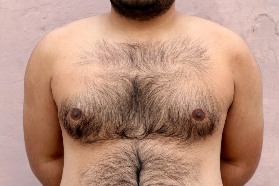Who has the biggest chest in the world?