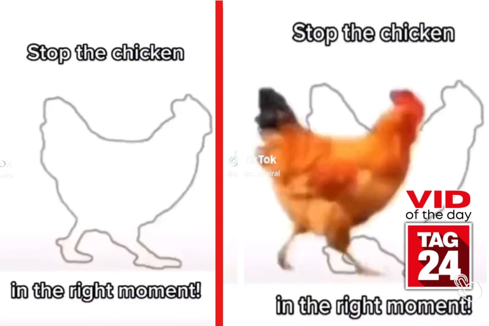 Viral Video of the Day for March 26, 2023: Stop the chicken game!
