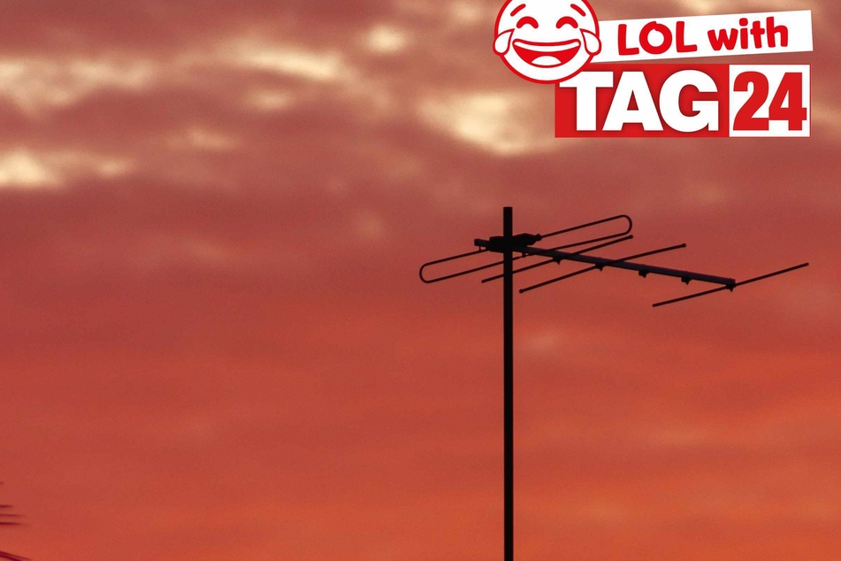 Joke of the Day for April 4, 2025: A silly joke to get your funny on