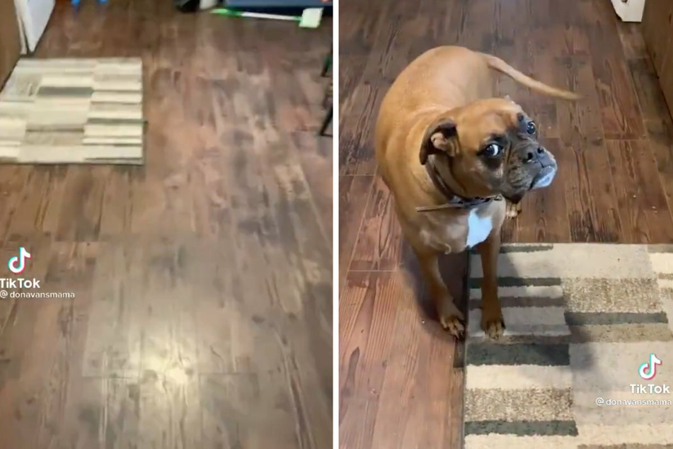 Burger loves to play