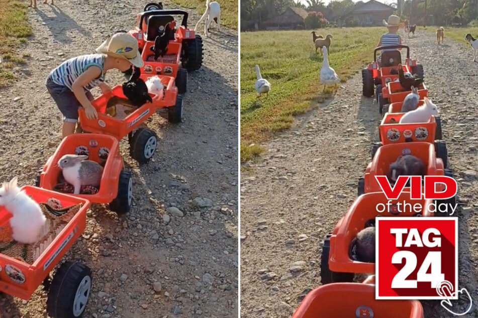 Today's Viral Video of the Day features a farm friendship unlike no other. Watch as a little boy takes a bunch of his animal pals on a fun ride!