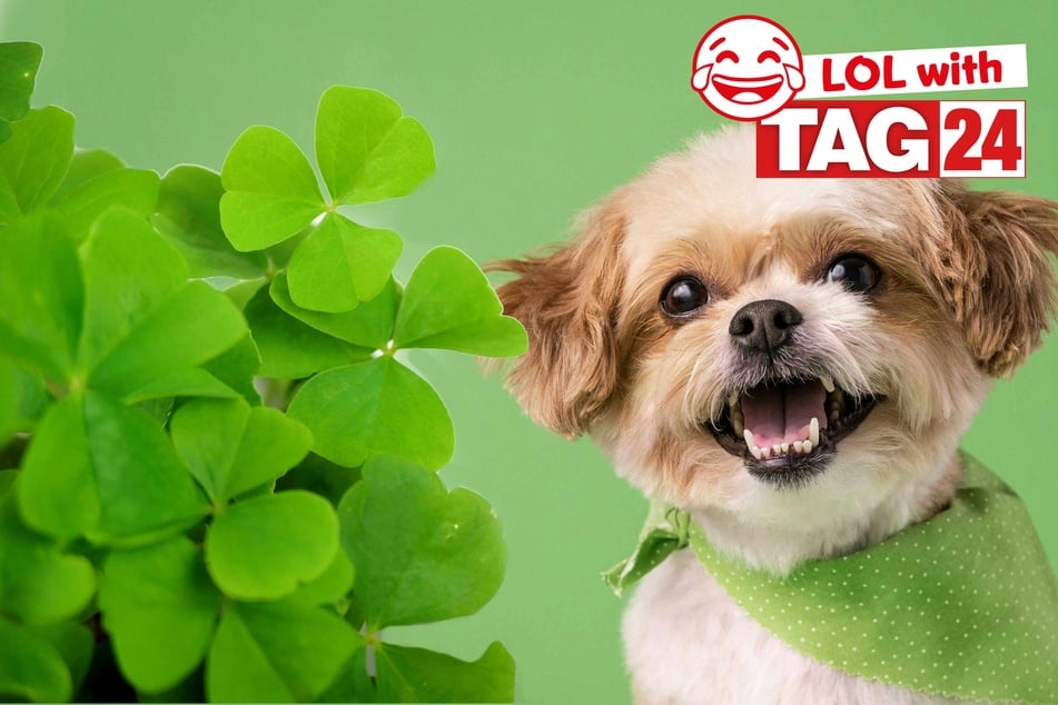 Get your funny on for St. Patrick's Day.