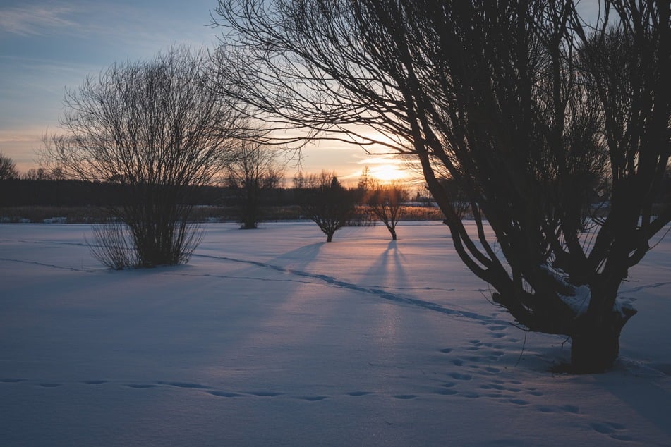 Beat the winter blues with these five unexpected tips