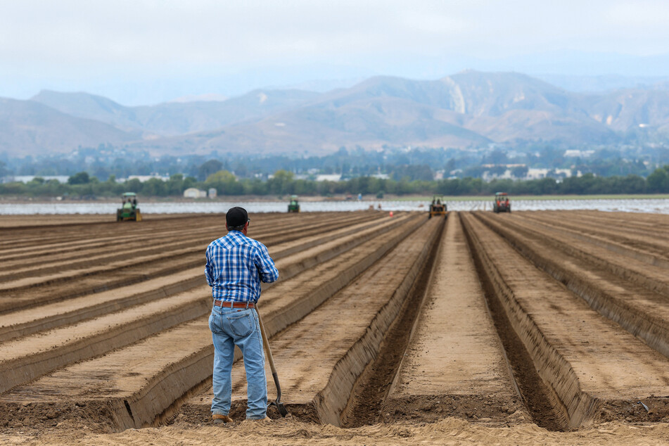 A man stands near tractors and farmworkers on a strawberry field in Oxnard, California.
