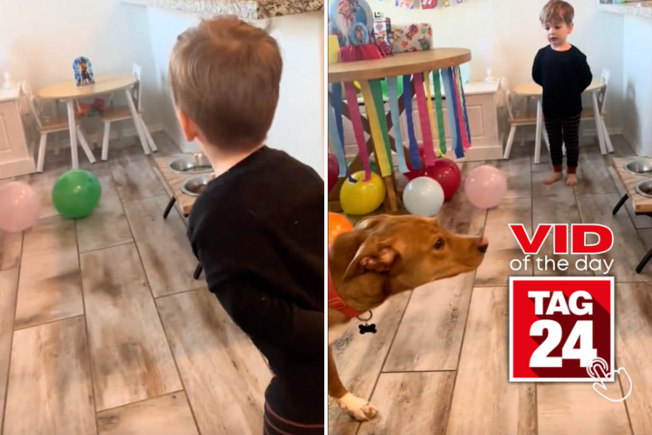 Viral Video of the Day for March 25, 2024: Boy gets unpleasant birthday surprise from overexcited dog