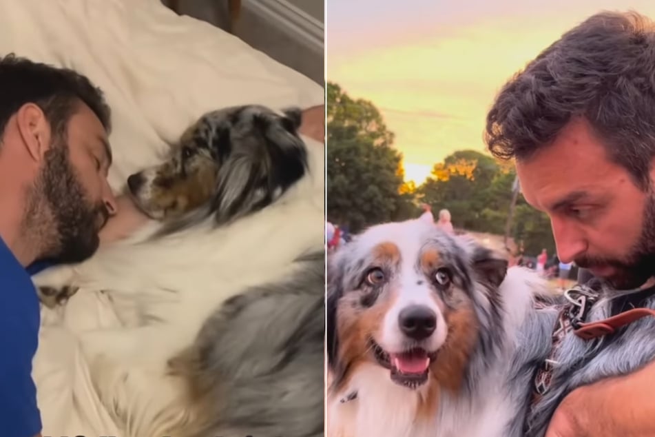 Anthony eventually admitted that he knew he would fall so much in love with the dog that "he wouldn't be able to imagine a life without one."