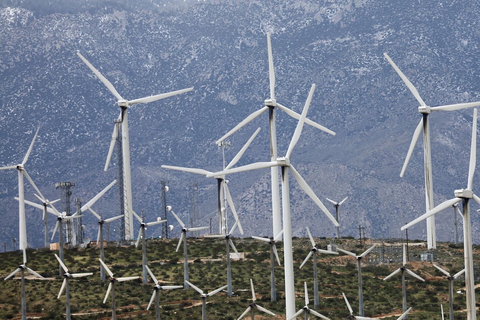 USDA ends solar and wind projects in massive blow to climate action