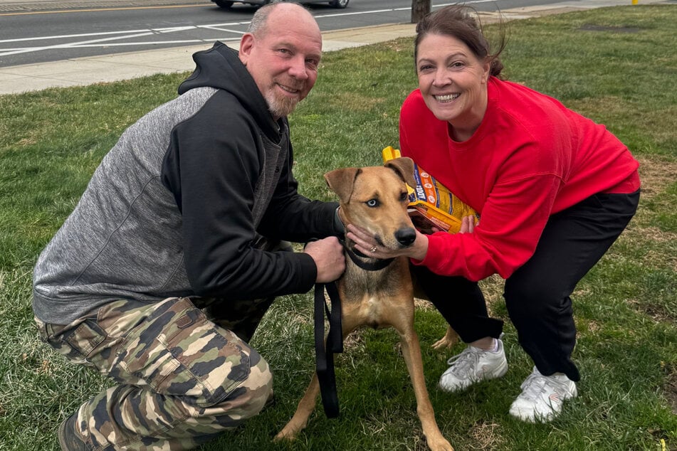 Within a few weeks, the dog put on so much weight that he could be placed with his first family.
