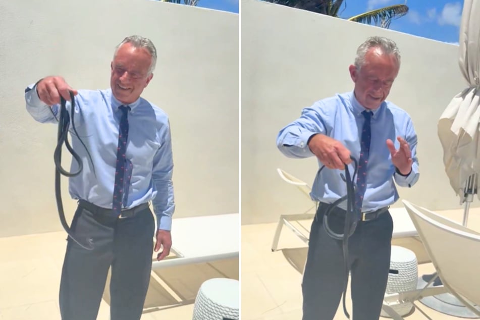 RFK Jr. freaks out wife Cheryl Hines while getting bit by snakes: "You're nuts!"